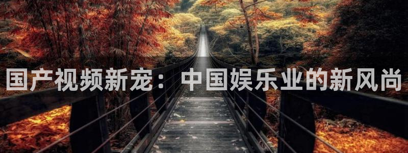 彩客网体育平台总代理：国产视频新宠：中国娱乐业的新风尚