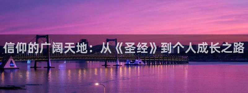 上海彩客网汽车电子有限公司：信仰的广阔天地：从《圣经》到个人成长之路