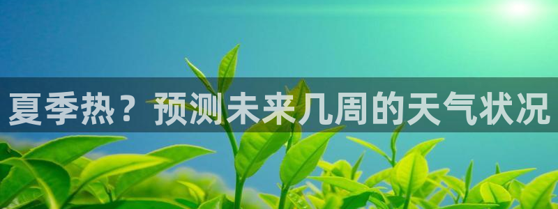 彩客网平台开户链接：夏季热？预测未来几周的天气状况