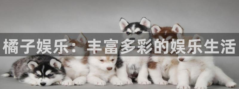彩客网体育凯捷平台注册：橘子娱乐：丰富多彩的娱乐生活
