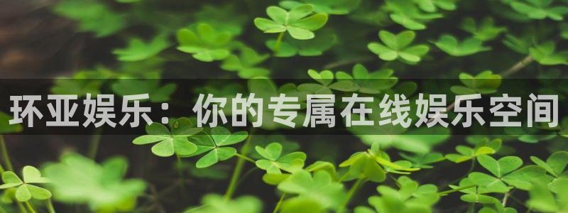 彩客网vk：环亚娱乐：你的专属在线娱乐空间