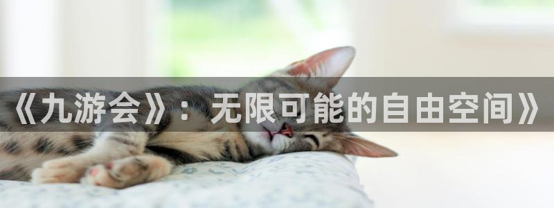 彩客网5招商：《九游会》：无限可能的自由空间》