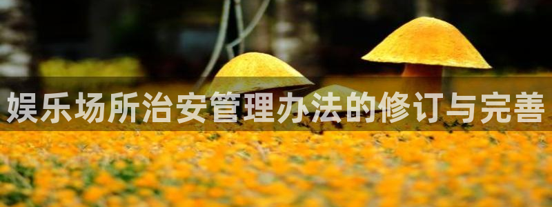 彩客网3注册：娱乐场所治安管理办法的修订与完善