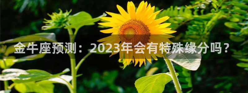 彩客网体育2官网入口：金牛座预测：2023年会有特殊缘分吗？