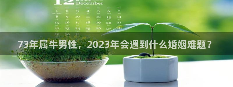 彩客网平台开户链接：73年属牛男性，2023年会遇到什么婚姻难题？