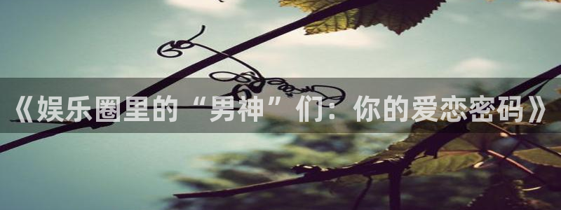 彩客网4：《娱乐圈里的“男神”们：你的爱恋密码》