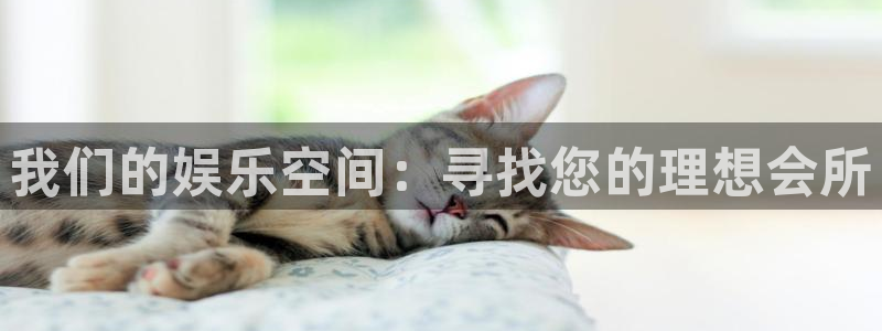 彩客网体育代理：我们的娱乐空间：寻找您的理想会所