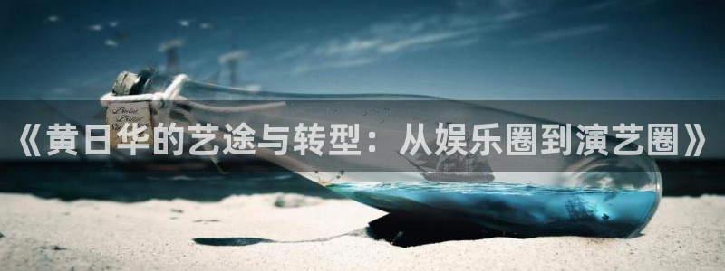 彩客网集团股票：《黄日华的艺途与转型：从娱乐圈到演艺圈》