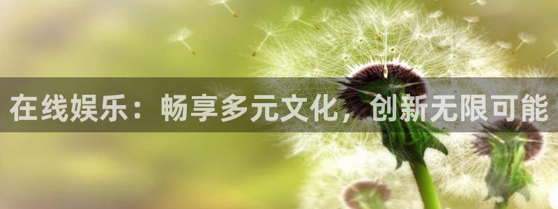 福建彩客网机电股份公司：在线娱乐：畅享多元文化，创新无限可能