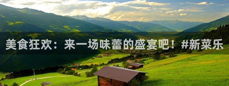 彩客网3官网：美食狂欢：来一场味蕾的盛宴吧！#新菜乐