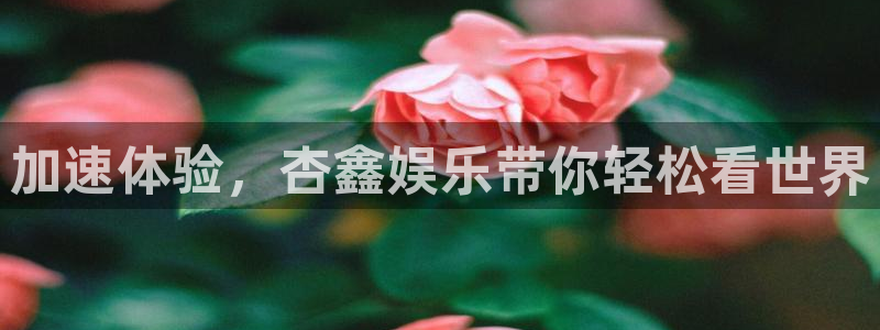彩客网体育平台开号链接：加速体验，杏鑫娱乐带你轻松看世界