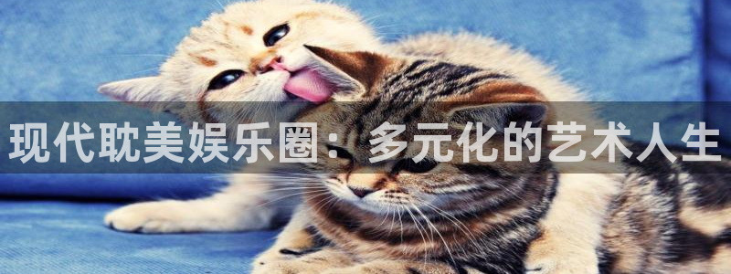 彩客网2平台登录：现代耽美娱乐圈：多元化的艺术人生