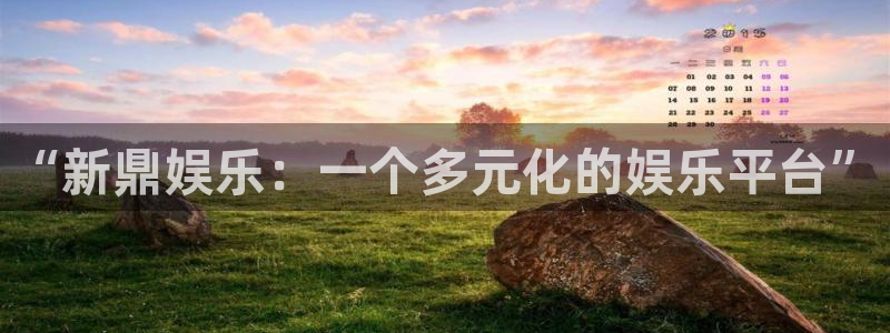 上海彩客网汽车电子有限公司：“新鼎娱乐：一个多元化的娱乐平台”