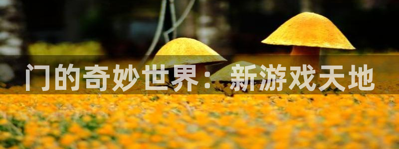 彩客网股份：门的奇妙世界：新游戏天地