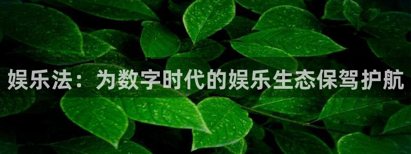 彩客网体育老板是谁：娱乐法：为数字时代的娱乐生态保驾护航