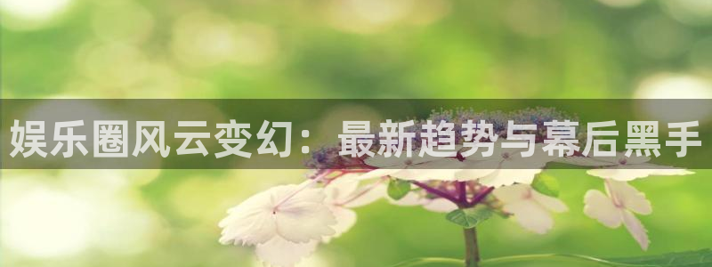 彩客网体育老板是谁：娱乐圈风云变幻：最新趋势与幕后黑手