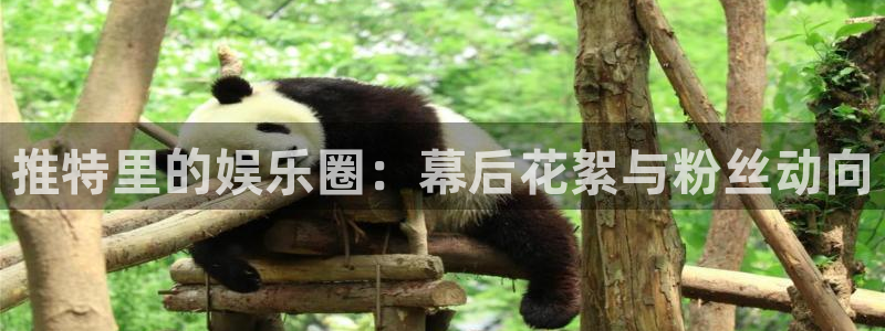 彩客网体育f开号：推特里的娱乐圈：幕后花絮与粉丝动向