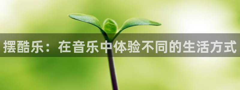 彩客网集团：摆酷乐：在音乐中体验不同的生活方式