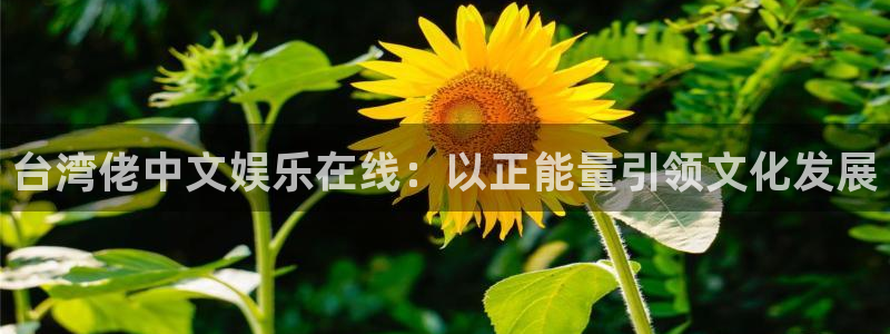 彩客网2代理注册：台湾佬中文娱乐在线：以正能量引领文化发展