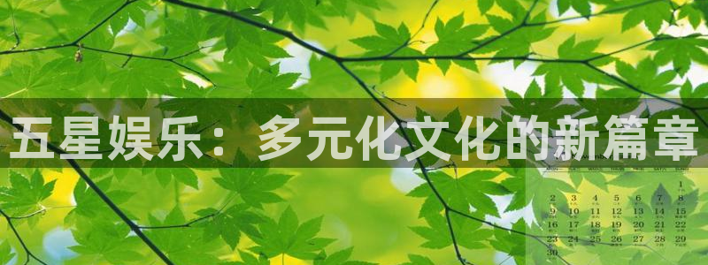 彩客网体育3：五星娱乐：多元化文化的新篇章