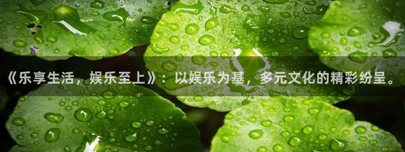 彩客网凯捷平台注册链接：《乐享生活，娱乐至上》：以娱乐为基，多元文化的精彩纷呈。