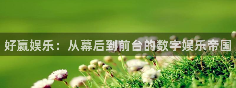 彩客网3：好赢娱乐：从幕后到前台的数字娱乐帝国