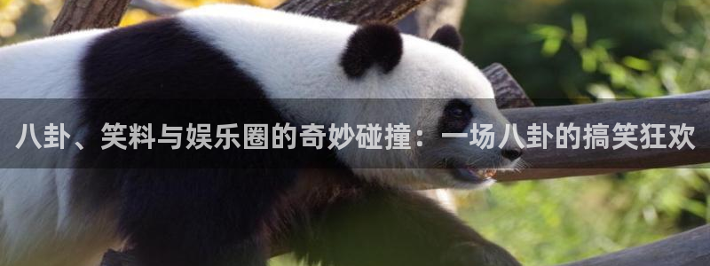 彩客网f凯捷平台在线注册：八卦、笑料与娱乐圈的奇妙碰撞：一场八卦的搞笑狂欢