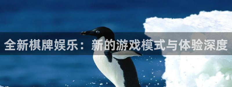 彩客网5：全新棋牌娱乐：新的游戏模式与体验深度