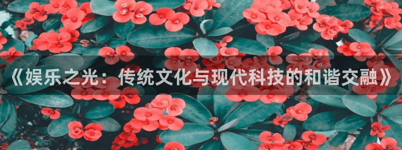 彩客网游戏有哪些好玩的：《娱乐之光：传统文化与现代科技的和谐交融》