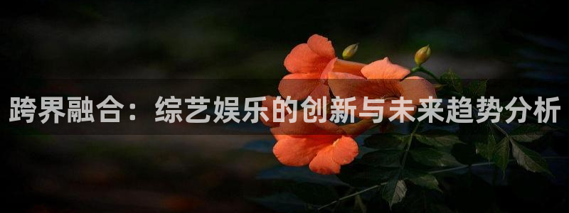 彩客网5招商：跨界融合：综艺娱乐的创新与未来趋势分析