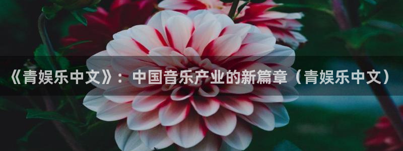 彩客网体育平台注册：《青娱乐中文》：中国音乐产业的新篇章（青娱乐中文）