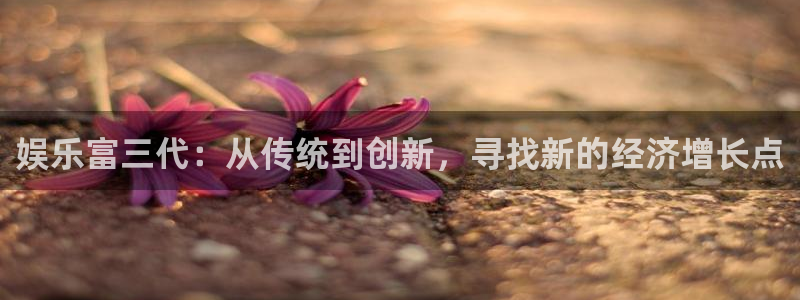 上海彩客网汽车电子有限公司：娱乐富三代：从传统到创新，寻找新的经济增长点