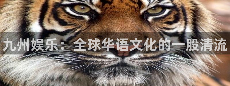 彩客网2登录地址：九州娱乐：全球华语文化的一股清流
