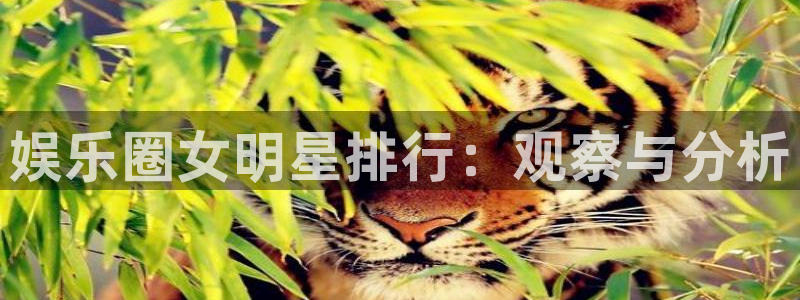 彩客网体育合法嘛：娱乐圈女明星排行：观察与分析