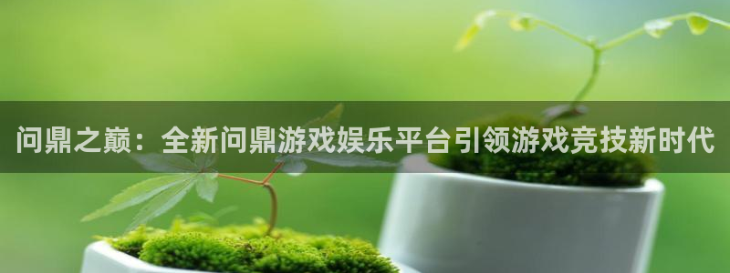 彩客网环保：问鼎之巅：全新问鼎游戏娱乐平台引领游戏竞技新时代