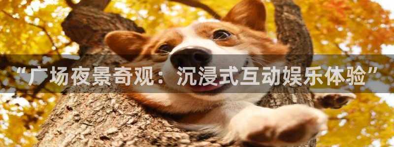 彩客网体育注册代理：“广场夜景奇观：沉浸式互动娱乐体验”